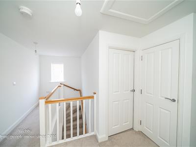 Picture 19